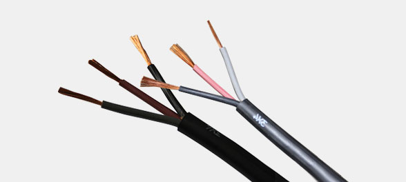 ����������ϵ��